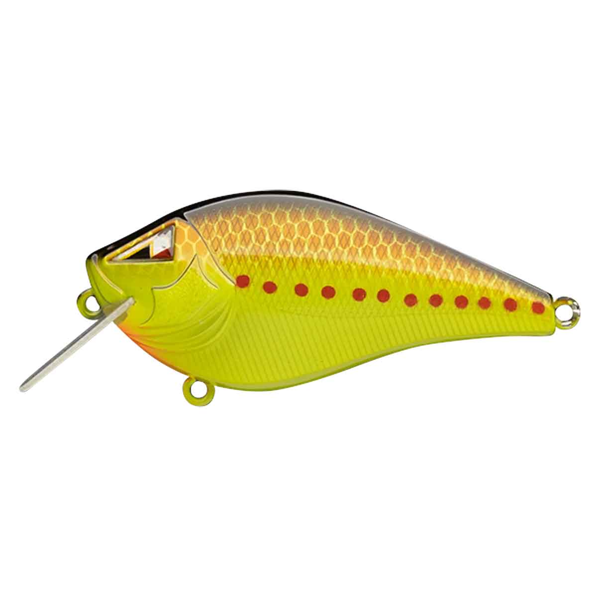 Z-Alpha_Copper Back/Chart