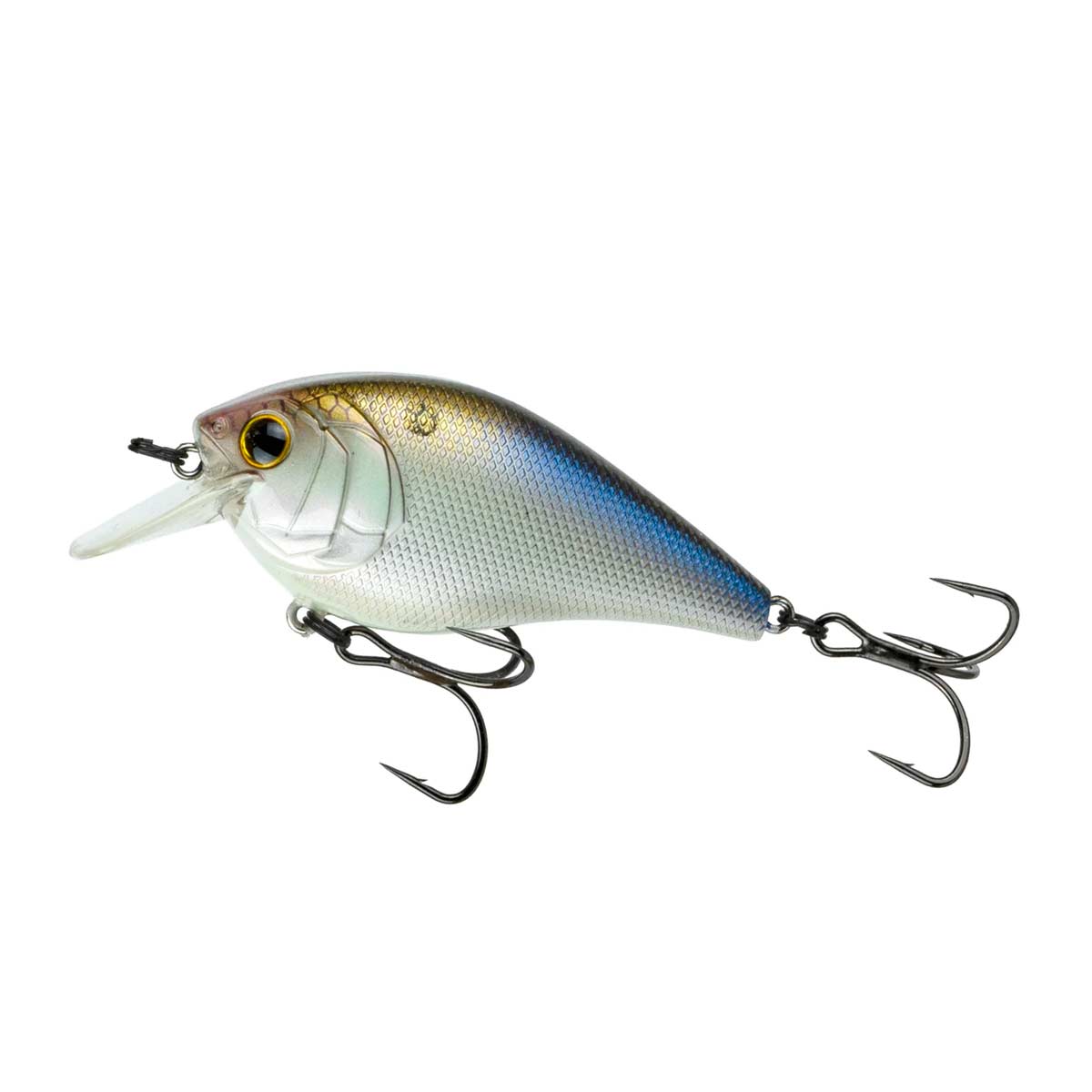 Crush 50X_4K Shad