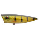 Topwater Popper 70_Perch