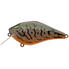 Olive Green Craw