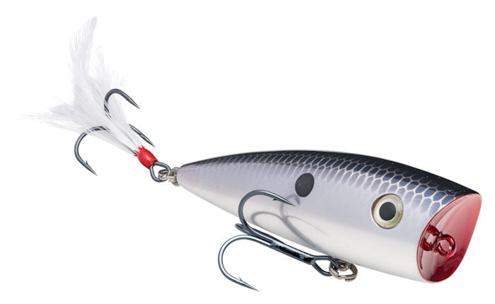 Strike King KVD Splash Popper Chrome Blue