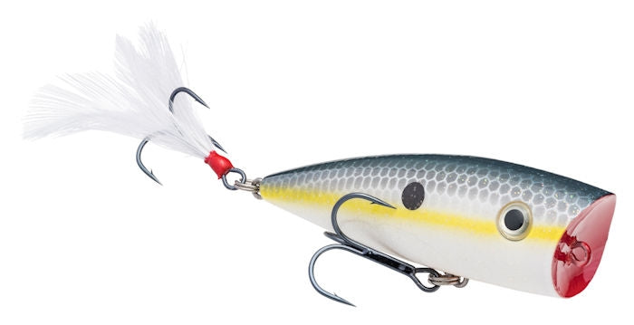 Strike King KVD Splash Popper Sexy Shad