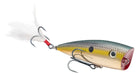 Strike King KVD Splash Popper Gold Sexy Shad