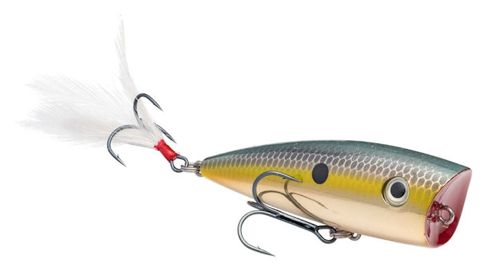 Strike King KVD Splash Popper Gold Sexy Shad