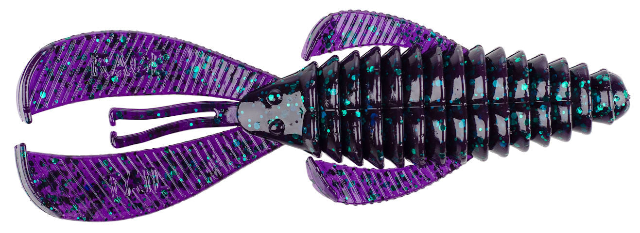 RGMBUG45-42